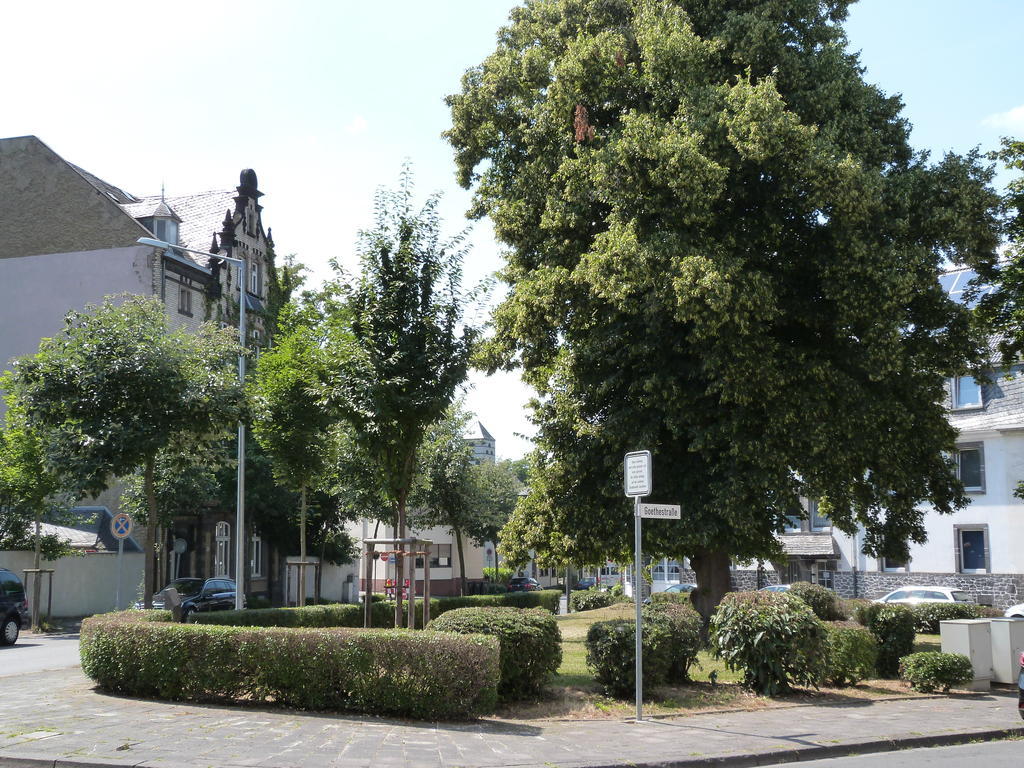מאיין Hotel Jaegerhof מראה חיצוני תמונה